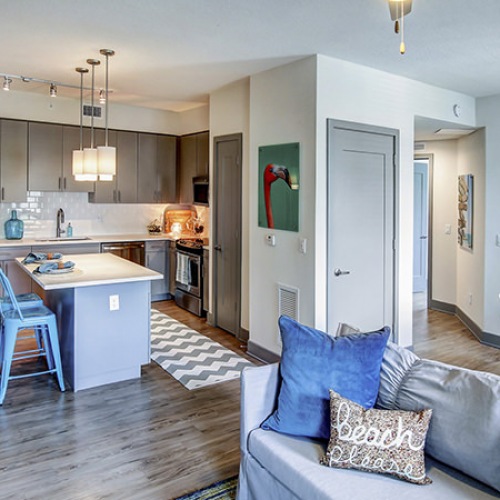 Living Room & Kitchen